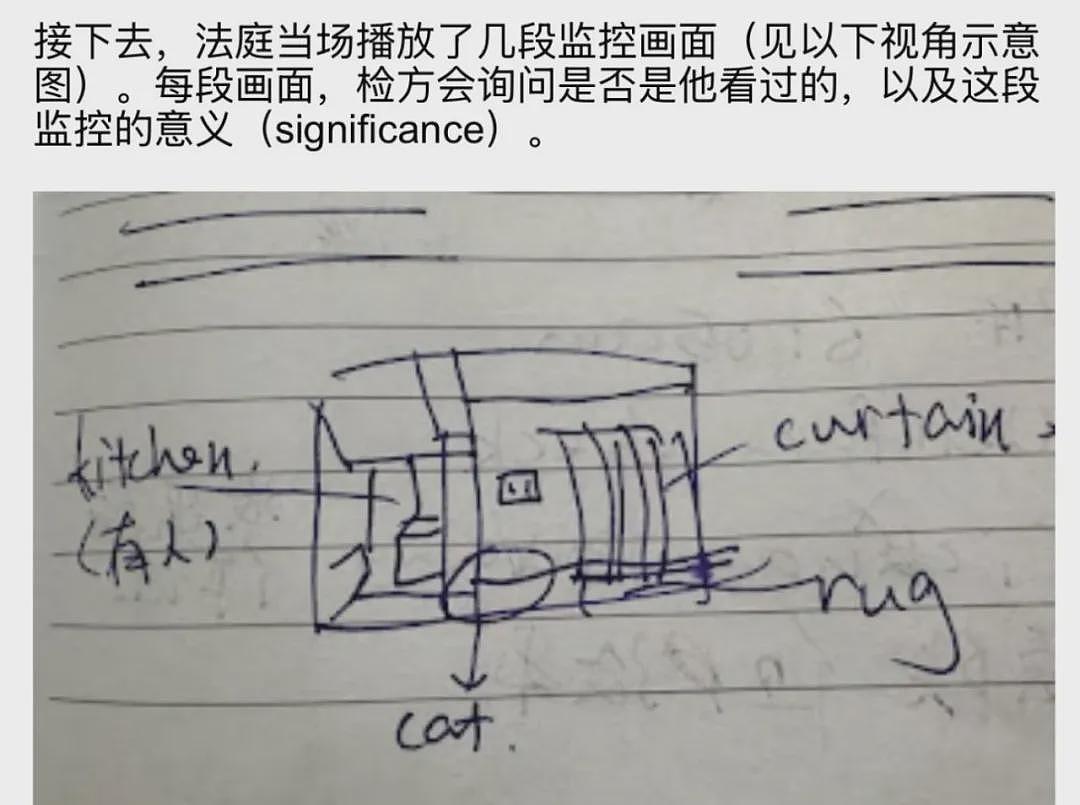 谷歌杀妻案再曝细节：前女友出庭，现场对峙揭开婚姻破裂全貌（组图） - 4