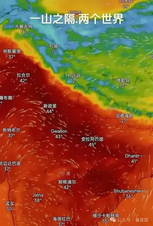 近50℃炼狱,印度人绝望求生!猴子热死蚊子消失,恒河已不堪重负!“热死人“不再是玩笑…(组图) - 22