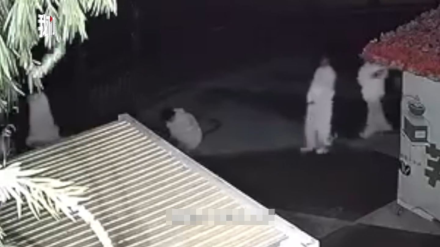 广州50名白衣人凌晨夜行，网民称“吓坏了”！官方：在进行辟谷（视频/组图） - 3