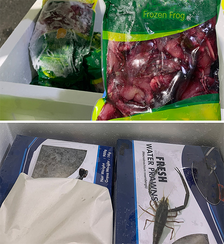 一女子将这些亚洲食品带入澳洲，被判2年监禁！盘点哪些食品禁止入澳！（组图） - 4
