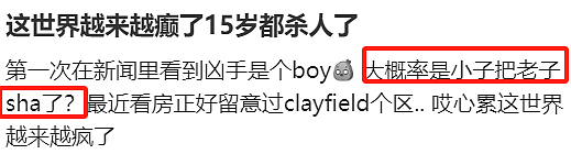 澳洲豪宅突发命案！商界大亨惨死家中！15岁少年被控谋杀（组图） - 11