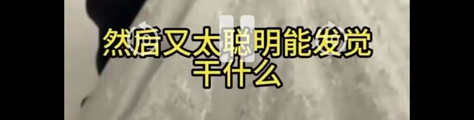 “道禄和尚”被抓内幕：后宫团起火……（组图） - 13