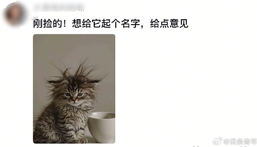 【爆笑】恋爱期间前男友一共转给我3w块钱,分手要求把钱返还,不然就起诉我?(组图) - 18
