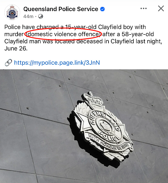 澳洲豪宅突发命案！商界大亨惨死家中！15岁少年被控谋杀（组图） - 12