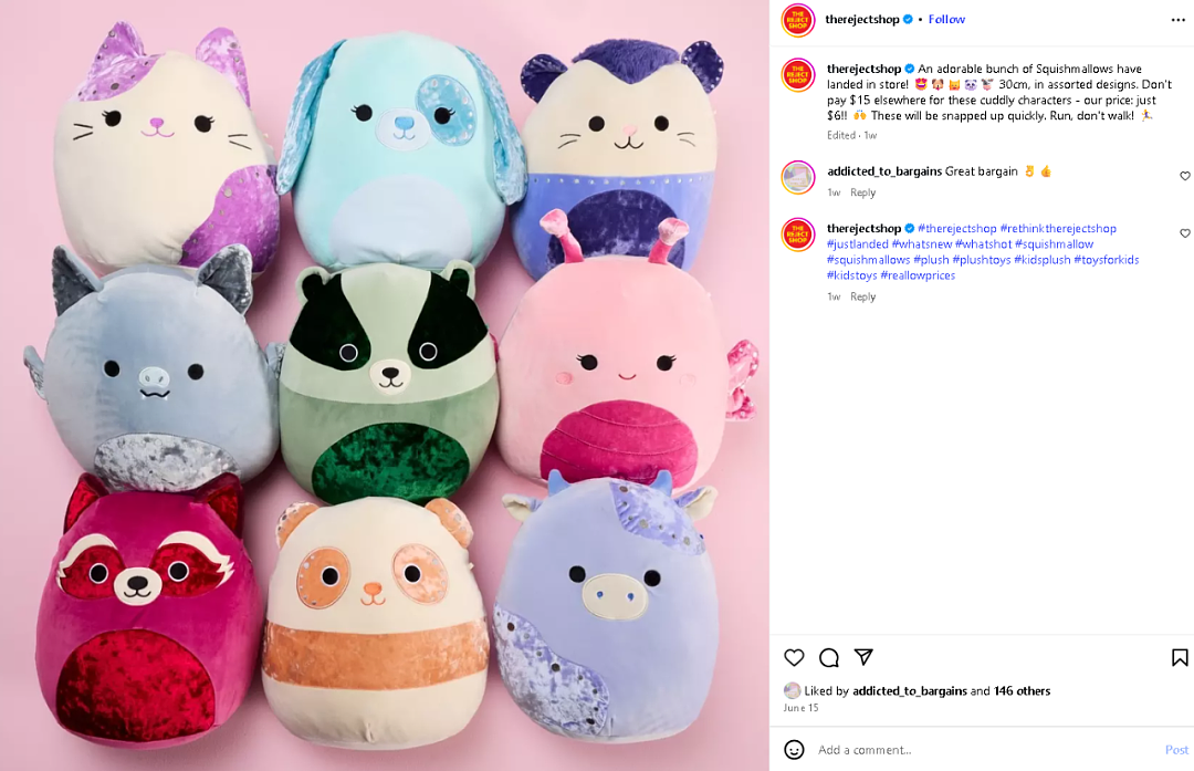 6刀捡漏！The Reject Shop 热门商品遭疯抢，有人一次买21个（组图） - 2