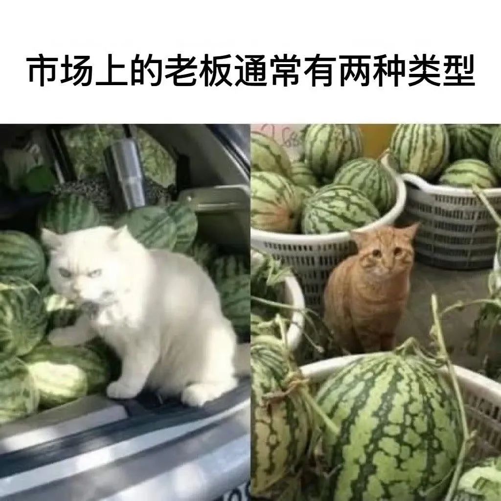 【爆笑】“考上985后被亲戚拉进了家族群…？”啊啊啊成功的那一刻全世界都‘吻’上来了（组图） - 71
