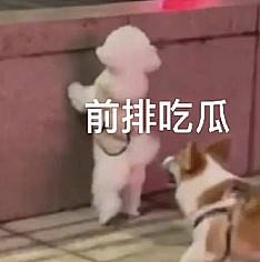 小扎千亿挖人名单下一位:硅谷华人AI高管第一人(组图) - 6