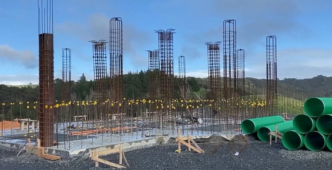 新西兰建巨型金佛引争议！地主为华人，当地居民：毫不知情（组图） - 2