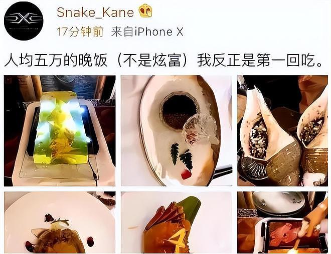 中国稀土太子爷的奢靡生活：40万一顿饭，父子联手挥霍上百亿资产（组图） - 16