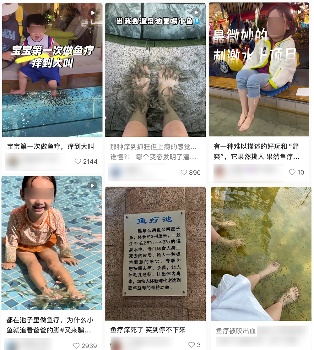 泡脚“鱼疗”后，澳洲女子被截掉了5个脚趾！这5类人千万不要随意尝试（组图） - 1