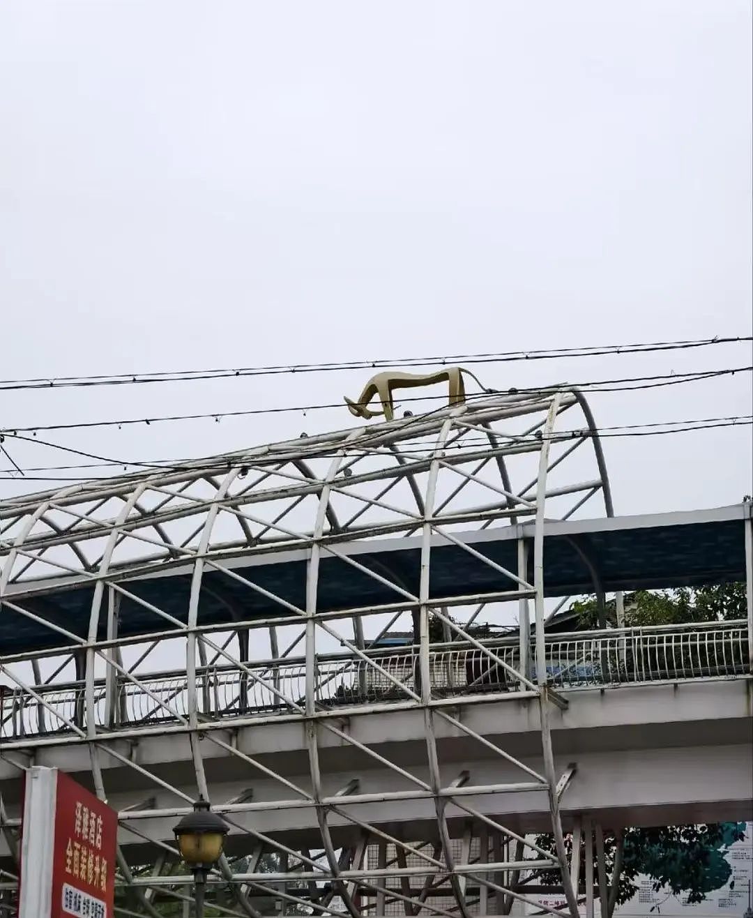 【爆笑】“当相亲对象提出要和我aa时…？”网友夺笋：这才是真正的天才数学家（组图） - 49