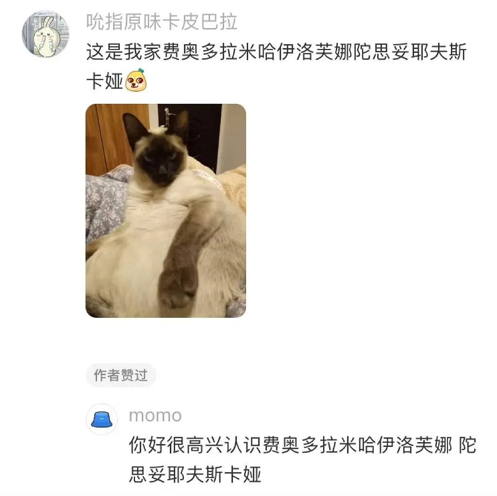 【爆笑】“当相亲对象提出要和我aa时…？”网友夺笋：这才是真正的天才数学家（组图） - 69