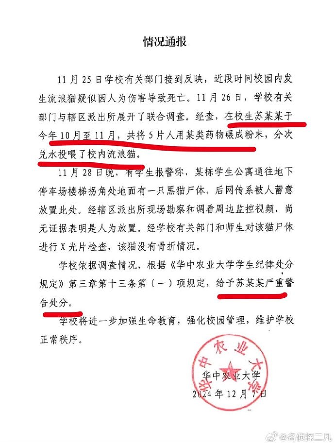 热搜上虐猫大学生考上事业编事件：是对“为人民服务”五个字最大的不敬（组图） - 6