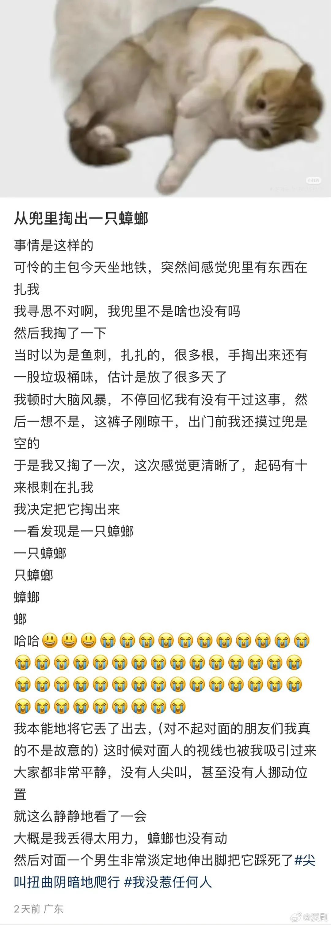 【爆笑】“当相亲对象提出要和我aa时…？”网友夺笋：这才是真正的天才数学家（组图） - 76