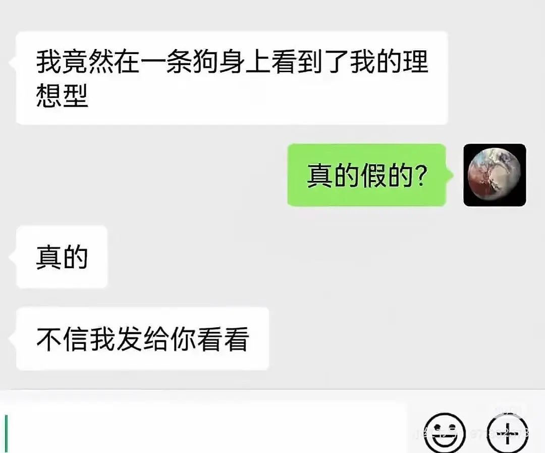 【爆笑】“当相亲对象提出要和我aa时…？”网友夺笋：这才是真正的天才数学家（组图） - 45