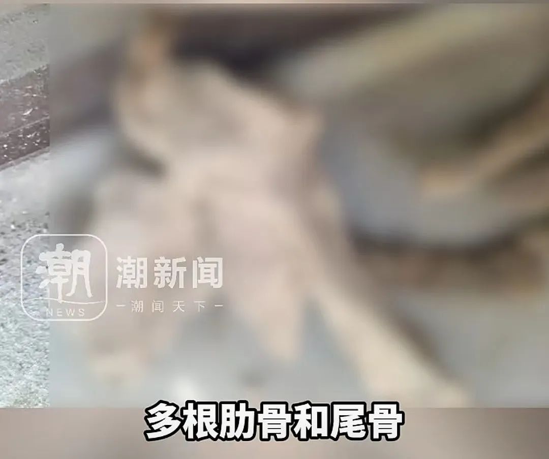 新房院子挖出多根人骨，女子吓到腿软！开发商拒绝退换房，警方初判（组图） - 4