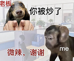 小扎千亿挖人名单下一位:硅谷华人AI高管第一人(组图) - 2