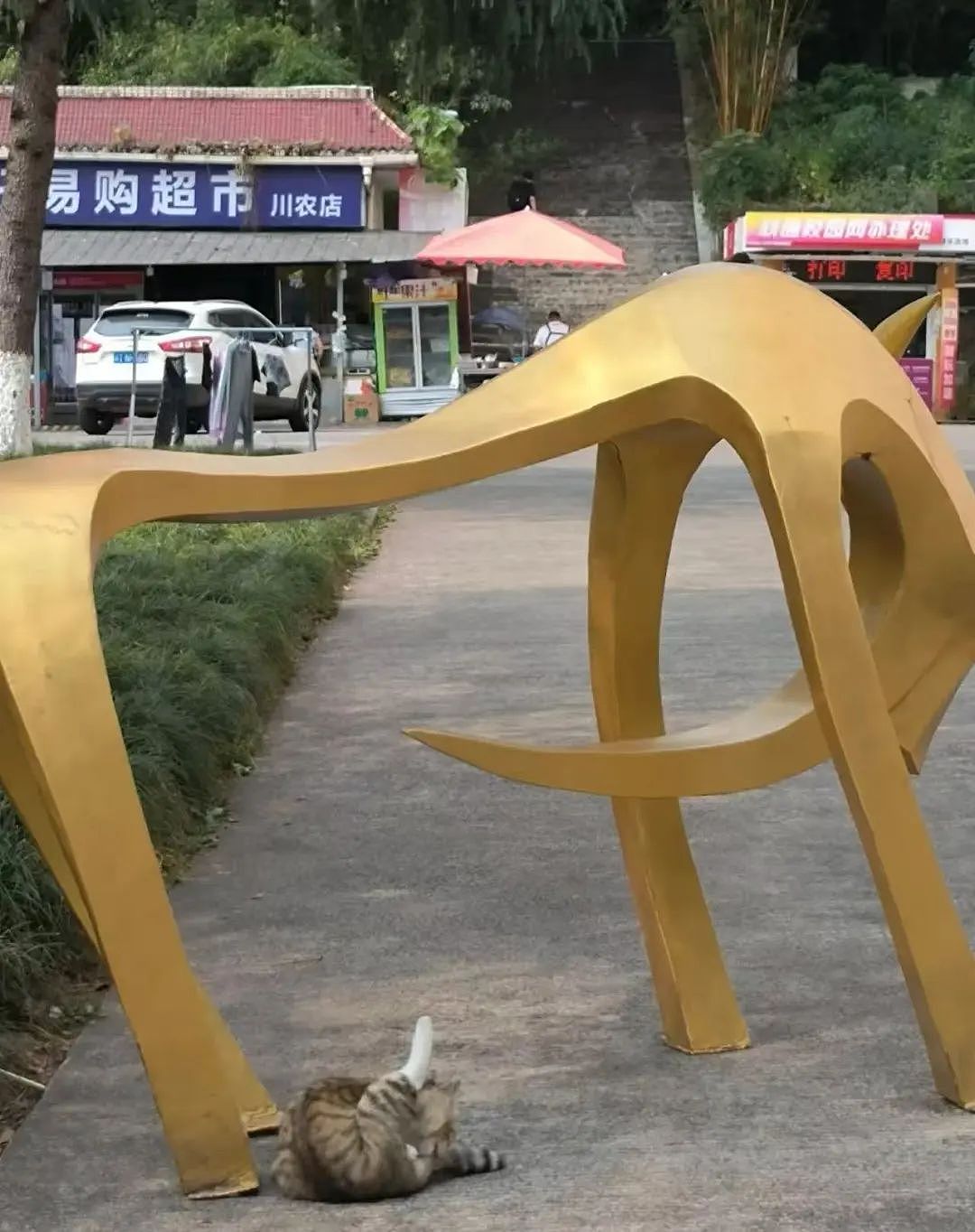 【爆笑】“当相亲对象提出要和我aa时…？”网友夺笋：这才是真正的天才数学家（组图） - 50