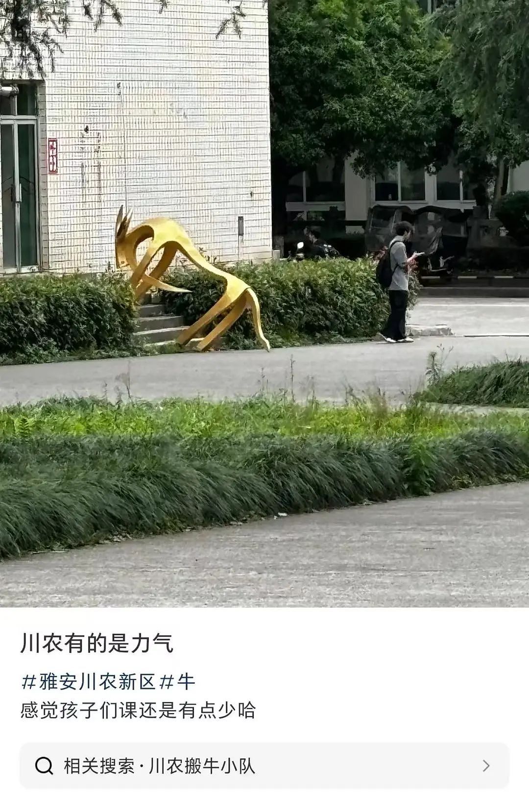【爆笑】“当相亲对象提出要和我aa时…？”网友夺笋：这才是真正的天才数学家（组图） - 48