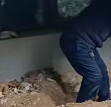 女子买房在院子里挖出疑似人骨，物业：人骨已有20年了（组图） - 1