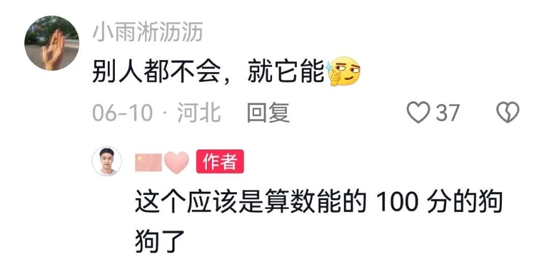 【宠物】小猫调戏被绳拴住的狗子，狗子气得原地爆炸：站那么远有什么意思，有本事你再靠近一点点啊...（组图） - 6