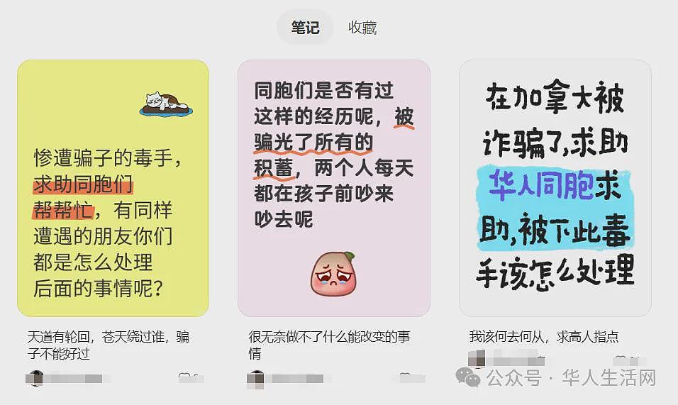 华人女子陷“杀猪盘”骗局,“投资”16万美元血本无归(组图) - 1
