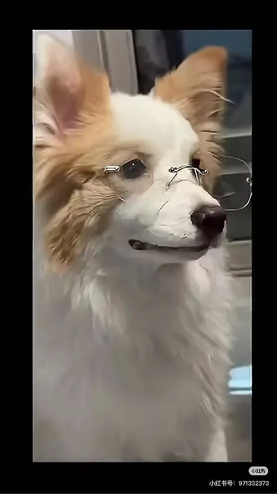 【爆笑】“当相亲对象提出要和我aa时…？”网友夺笋：这才是真正的天才数学家（组图） - 46