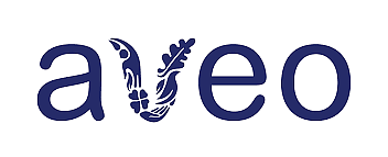 澳洲资本市场周报 —— 从学生公寓到养老社区：Scape 38.5亿澳元并购加速“生活资产”布局（组图） - 3