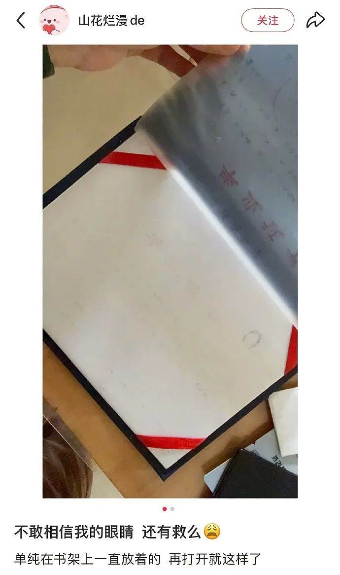 【爆笑】谈了一周的男朋友把7千工资转给我，网友却劝我一定要小心他？（组图） - 10