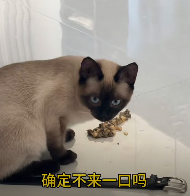 【宠物】妈妈晒给孩子的超小窄房，遭网友质疑虐童！结果镜头拉远全网破防：慈母多败儿啊....（组图） - 20