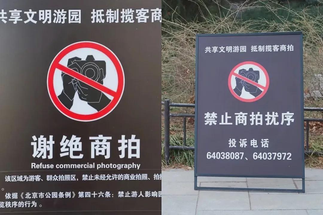 网红景点头号“狗皮膏药“，游客烦透了，景区管不了（组图） - 16