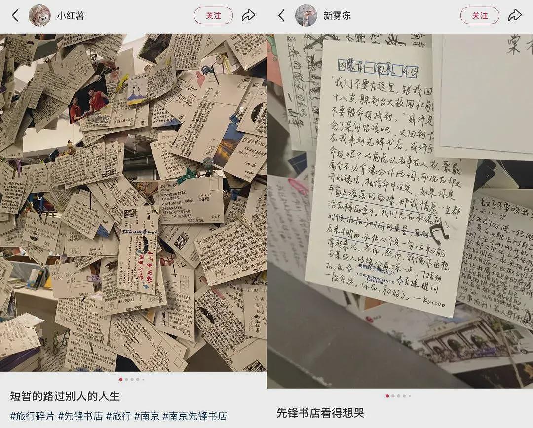 网红景点头号“狗皮膏药“，游客烦透了，景区管不了（组图） - 12