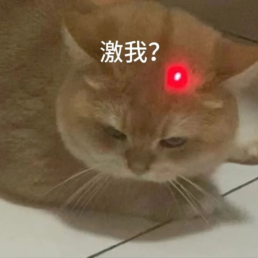 【宠物】妈妈晒给孩子的超小窄房，遭网友质疑虐童！结果镜头拉远全网破防：慈母多败儿啊....（组图） - 1