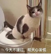 【爆笑】把痔疮当宠物我能理解，但居然有人靠痔疮拿奖？看完照片我傻了：这是“赛级屁股”啊...（组图） - 14