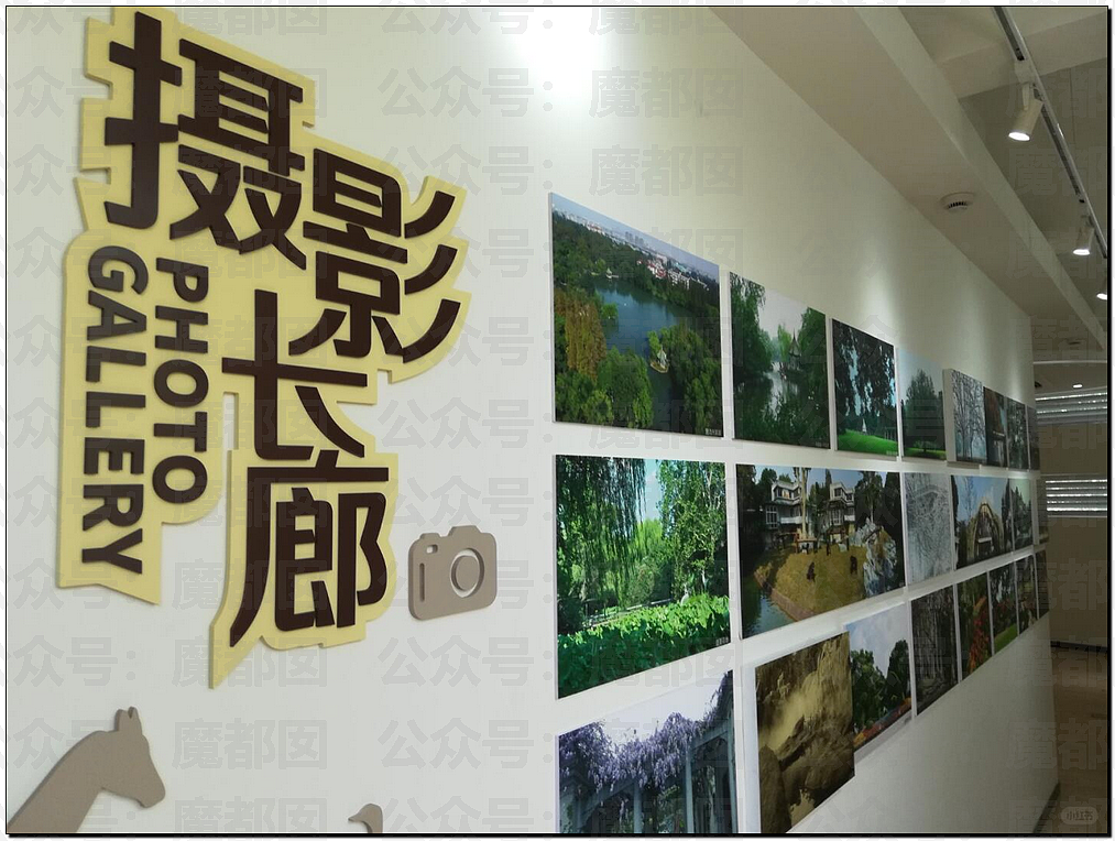谁在故意抹黑上海？令全上海蒙羞受冤动物园不让喂奶真相反转（组图） - 15