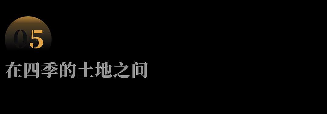 被工厂、工地淘汰后，这群大龄女工在土地间流动（组图） - 11