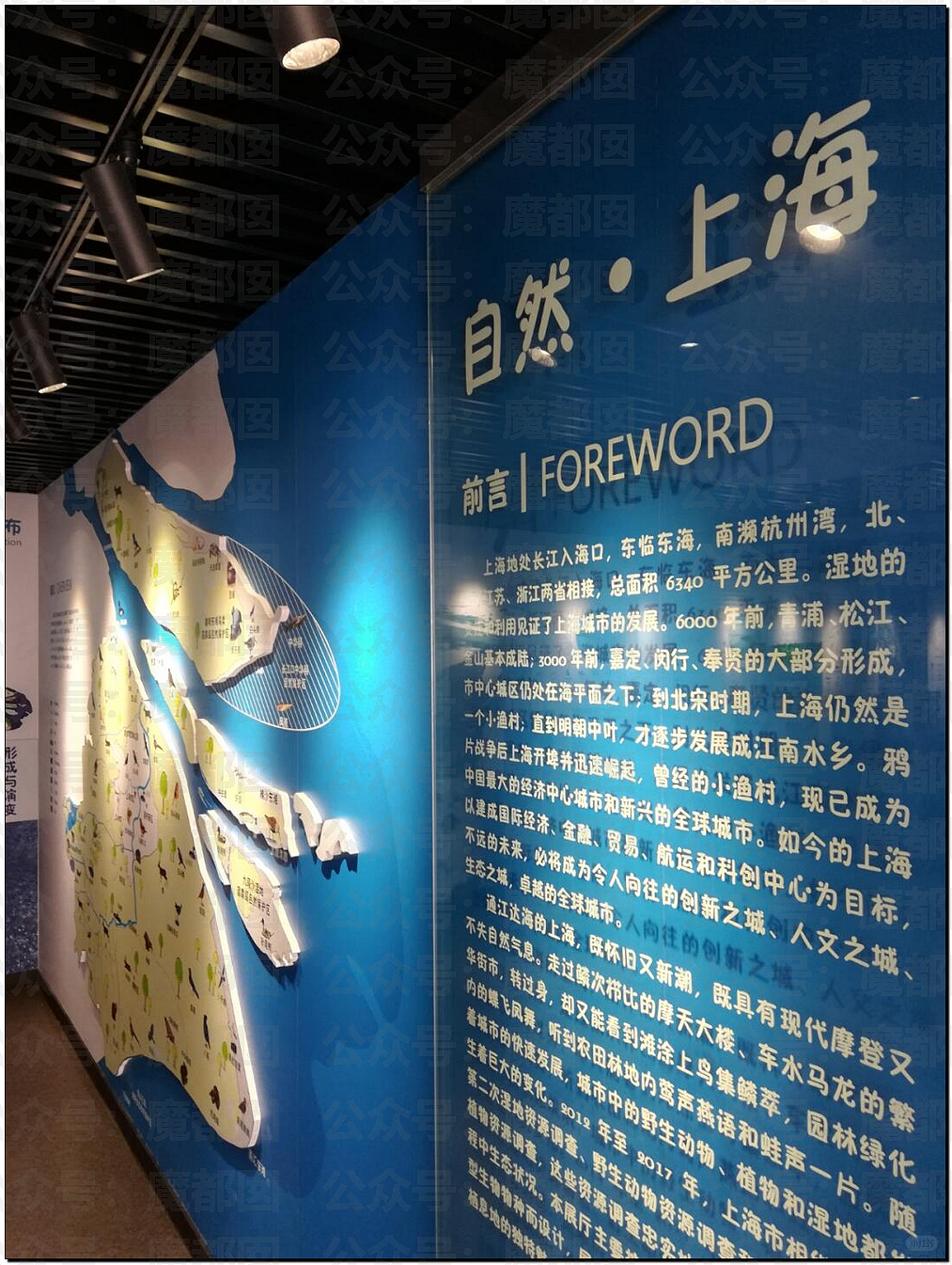 谁在故意抹黑上海？令全上海蒙羞受冤动物园不让喂奶真相反转（组图） - 14