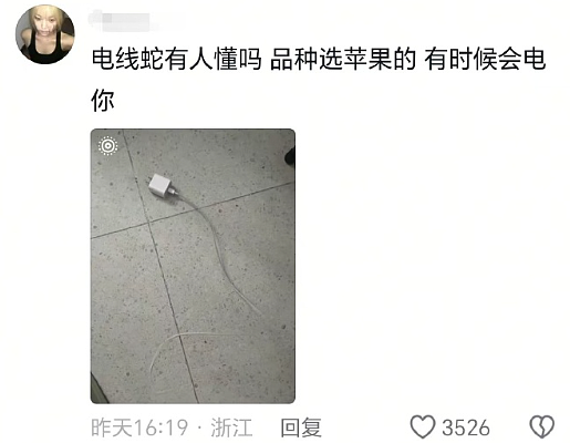 【爆笑】谈了一周的男朋友把7千工资转给我，网友却劝我一定要小心他？（组图） - 23