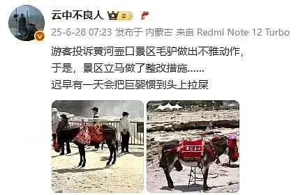壶口公驴戴套：女游客为何对驴鞭颤抖不已（组图） - 2