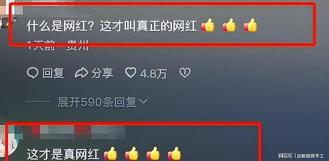 娱乐圈又丢人！韩红公布驰援贵州名单，年入上亿明星，全输给网红（组图） - 13