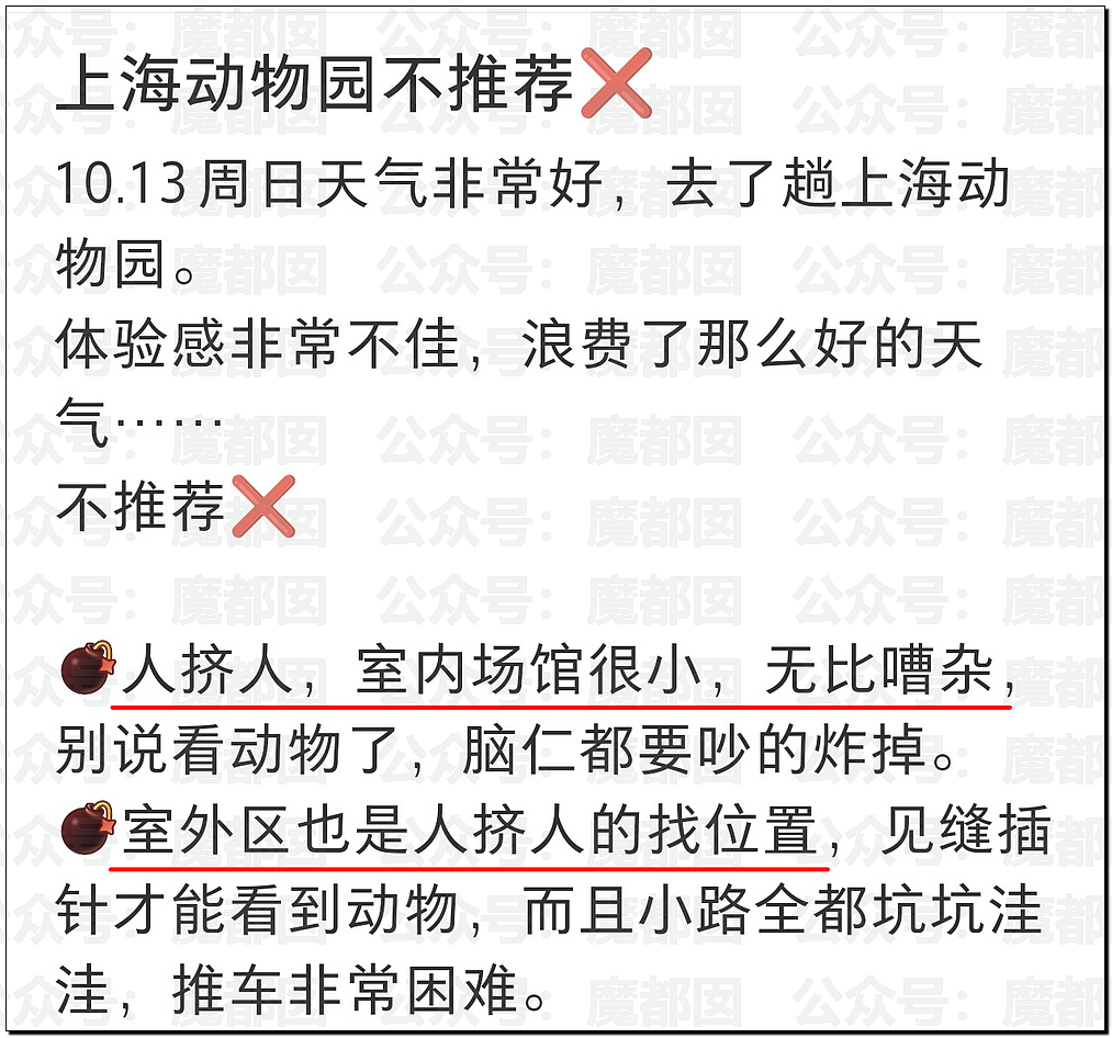 谁在故意抹黑上海？令全上海蒙羞受冤动物园不让喂奶真相反转（组图） - 10