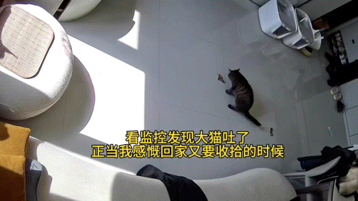 【宠物】妈妈晒给孩子的超小窄房，遭网友质疑虐童！结果镜头拉远全网破防：慈母多败儿啊....（组图） - 15