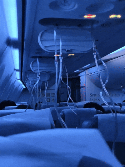 生死备降! 上海起飞国际航班突发故障, 急降8000米! 乘客魂都吓没了(组图) - 6