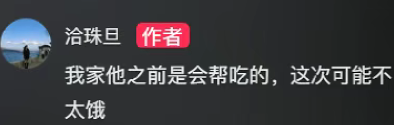 【宠物】妈妈晒给孩子的超小窄房，遭网友质疑虐童！结果镜头拉远全网破防：慈母多败儿啊....（组图） - 18