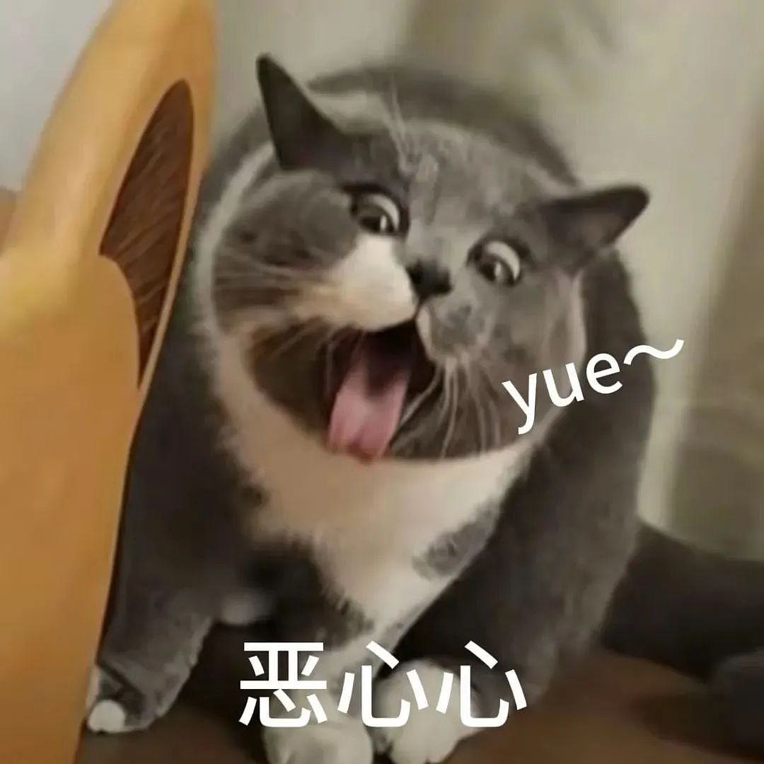【宠物】妈妈晒给孩子的超小窄房，遭网友质疑虐童！结果镜头拉远全网破防：慈母多败儿啊....（组图） - 17