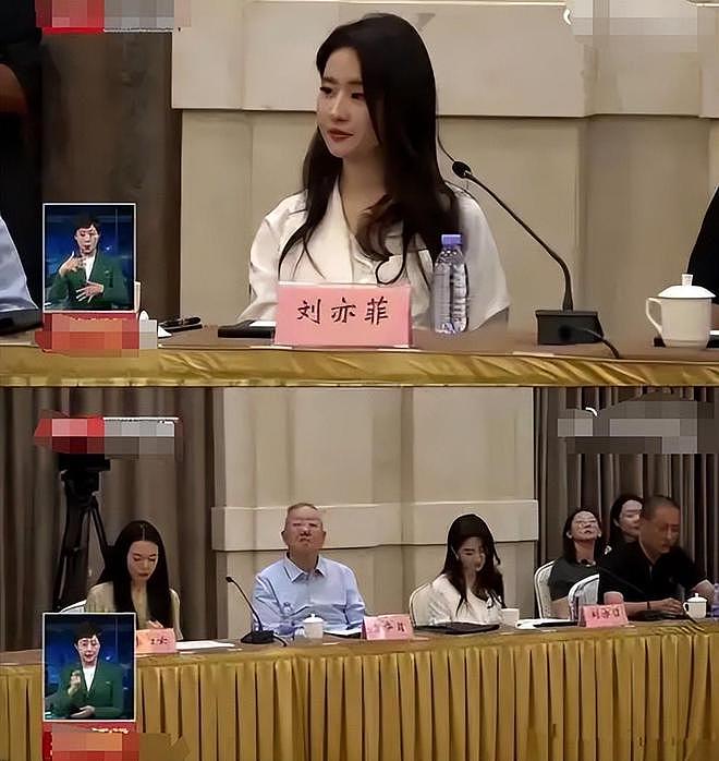 为什么赵丽颖不合群被夸,刘亦菲不合群被骂?(组图) - 5