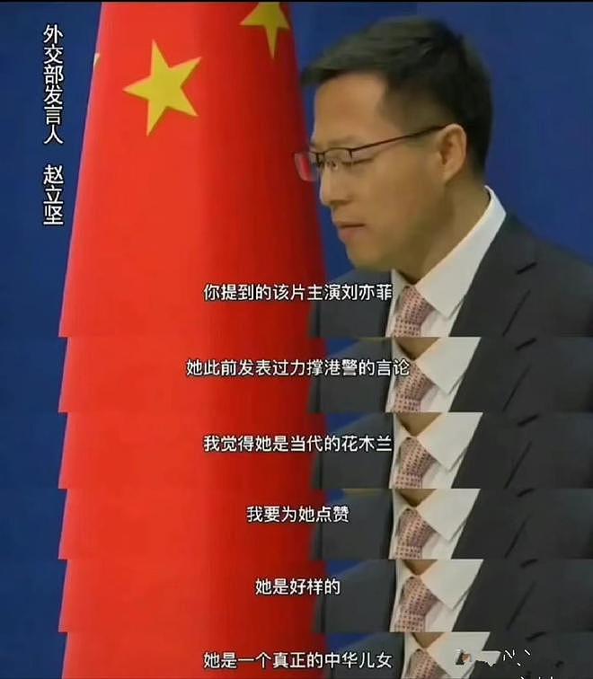 为什么赵丽颖不合群被夸,刘亦菲不合群被骂?(组图) - 4