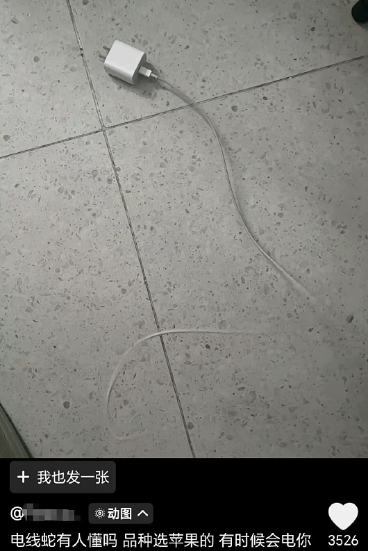 【爆笑】谈了一周的男朋友把7千工资转给我，网友却劝我一定要小心他？（组图） - 24