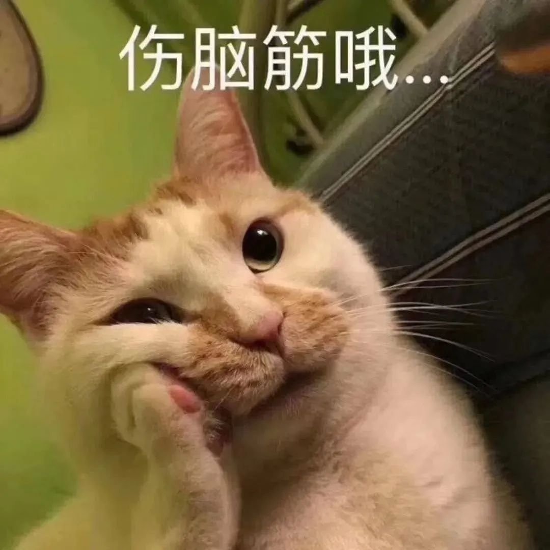 【宠物】妈妈晒给孩子的超小窄房，遭网友质疑虐童！结果镜头拉远全网破防：慈母多败儿啊....（组图） - 4