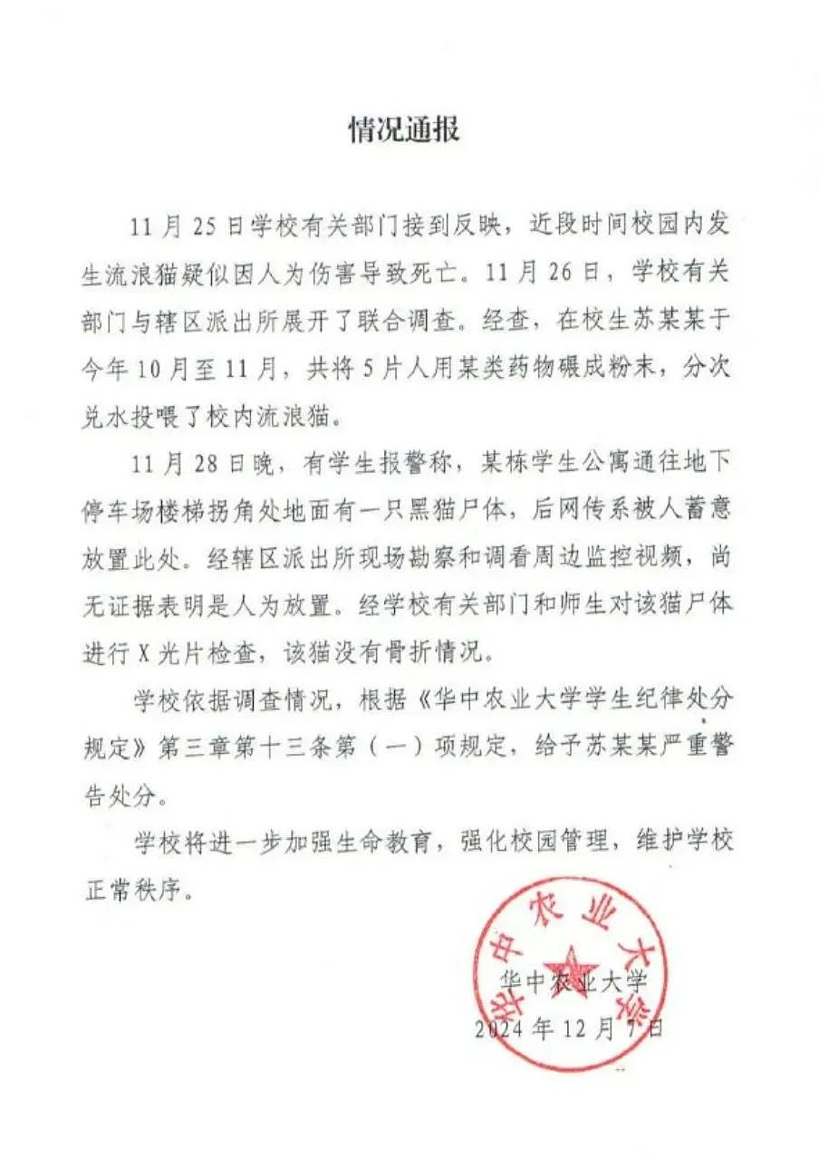 那个211大学的虐猫学生，毕业后去考编，终于等来了报应（组图） - 2